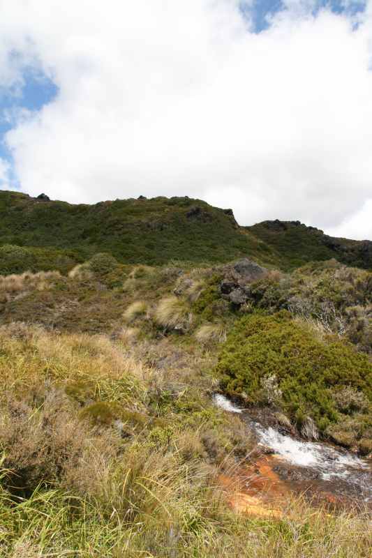 Nieuw-Zeeland 2011 - 0855
